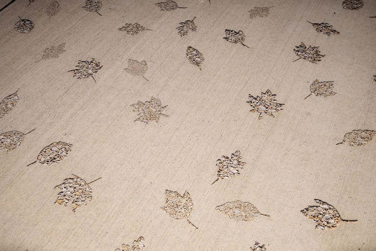 Amenity Center Project