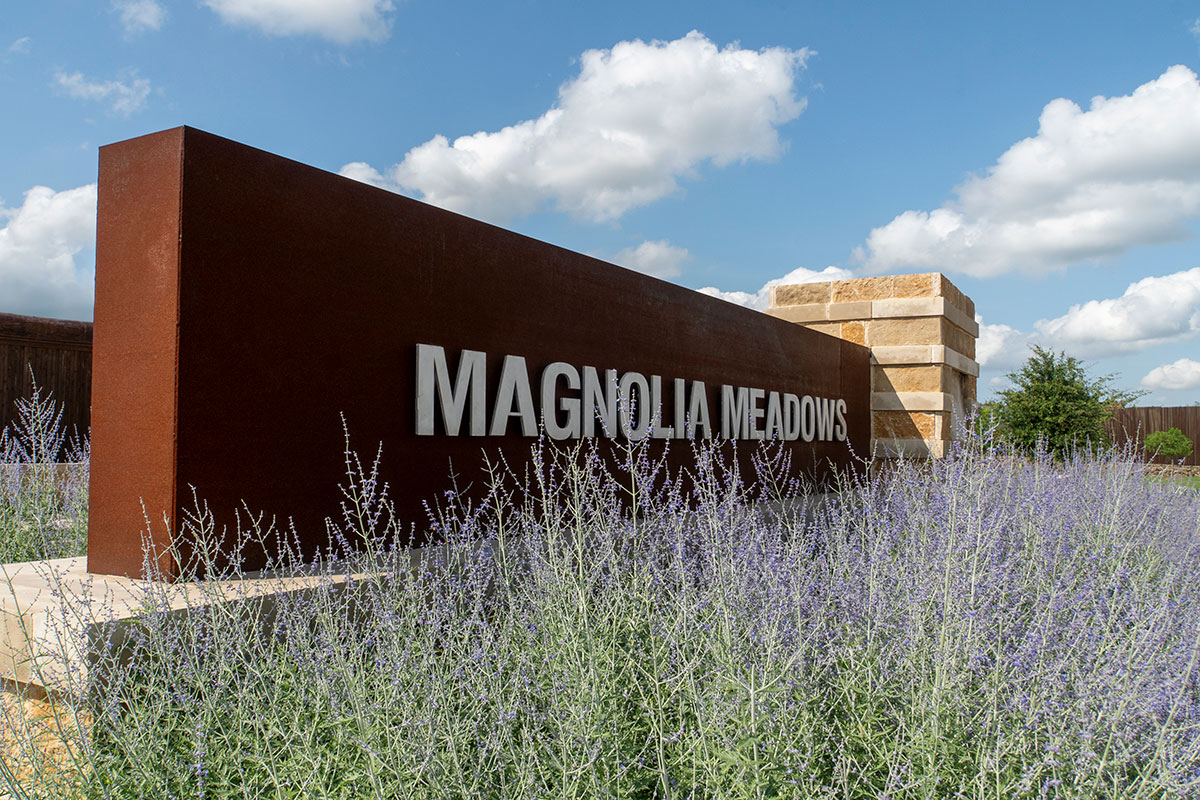 Entry Features & Gates Project